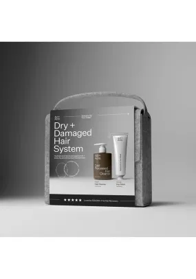 Dry + Damaged Hair System